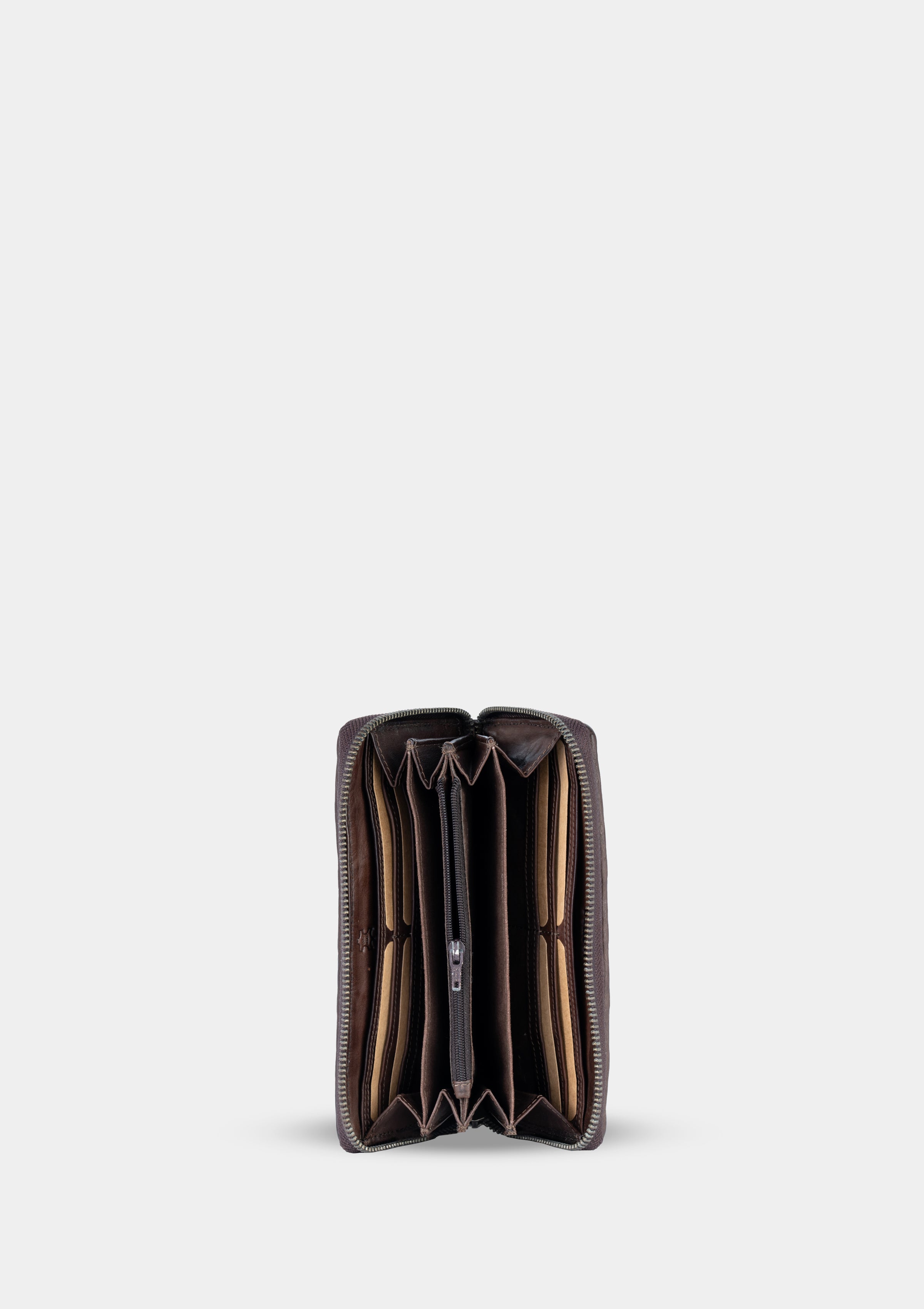 Carlotta 8905