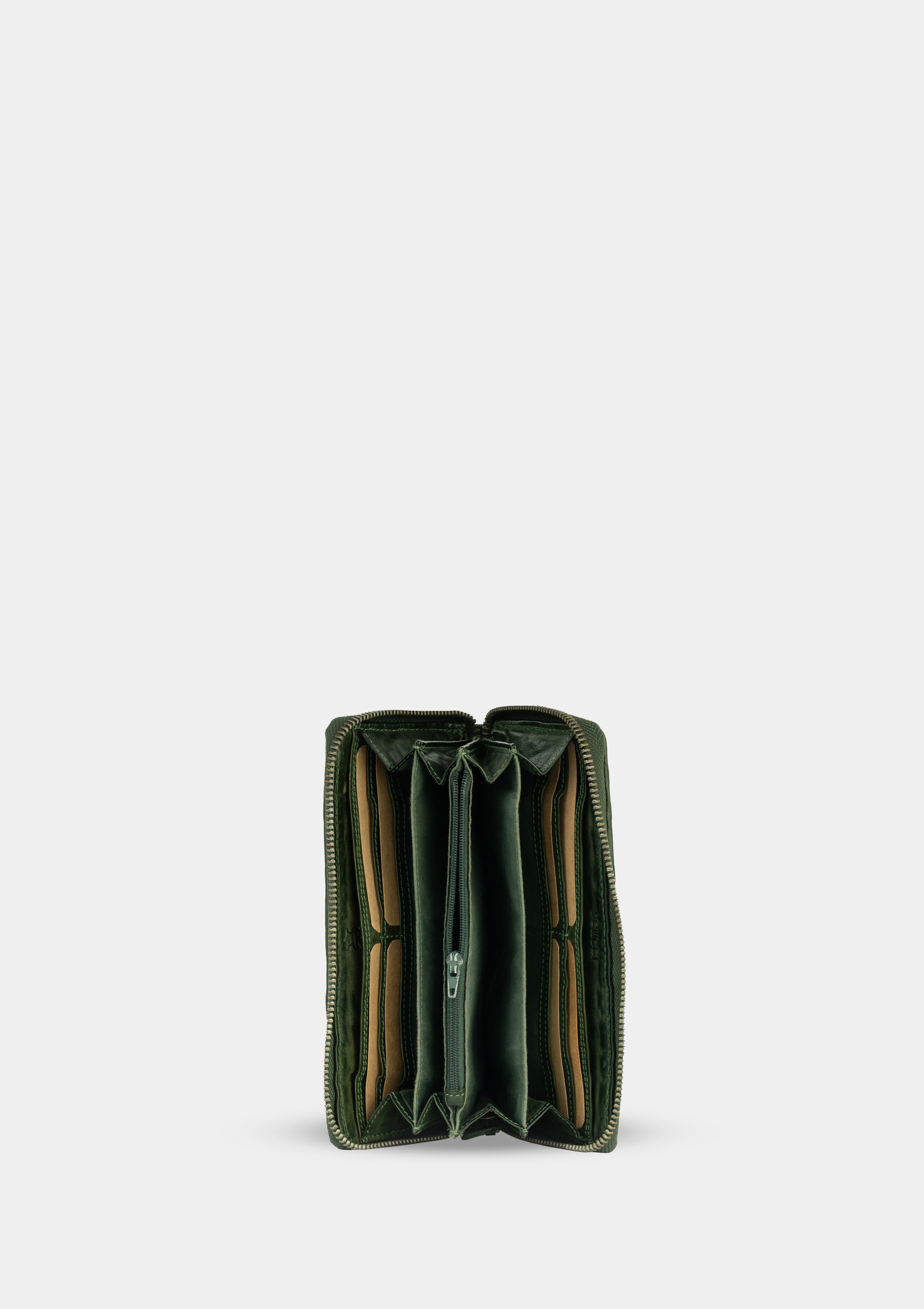 Carlotta 8905