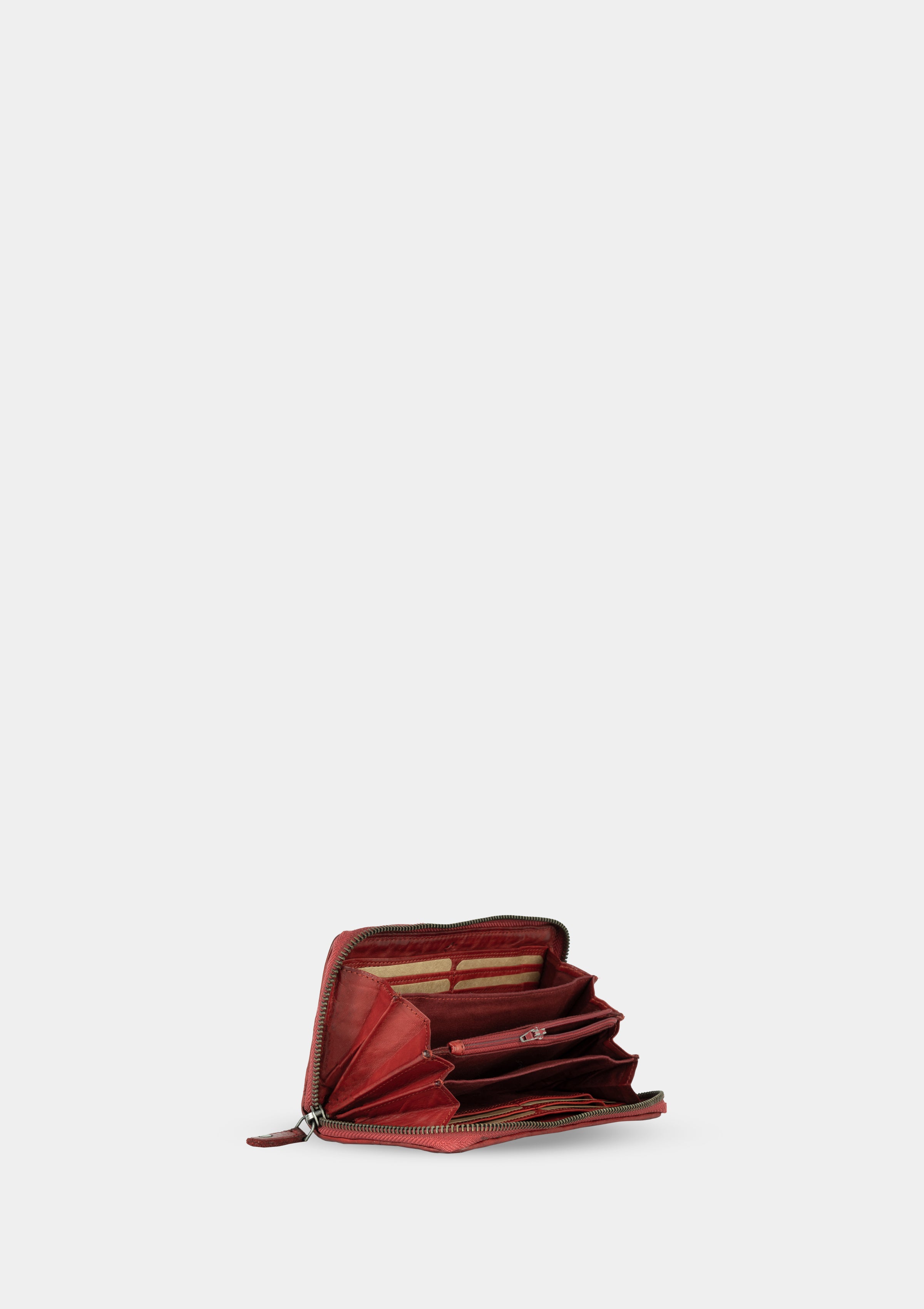 Carlotta 8905